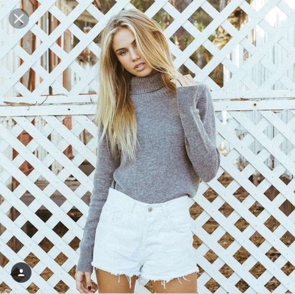 Brandy Melville Sweaters - Brandy Melville Turtleneck
